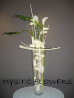 /album/fotogalerie-uvodni-stranka/a280320770-2-kopie-jpg/